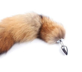 بات پشت مدل روباه